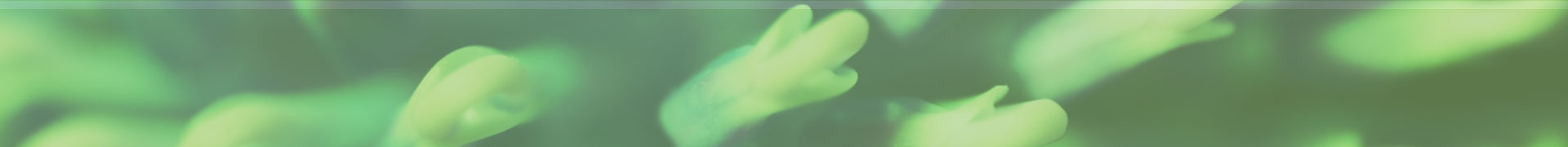 DNA Flow Technology