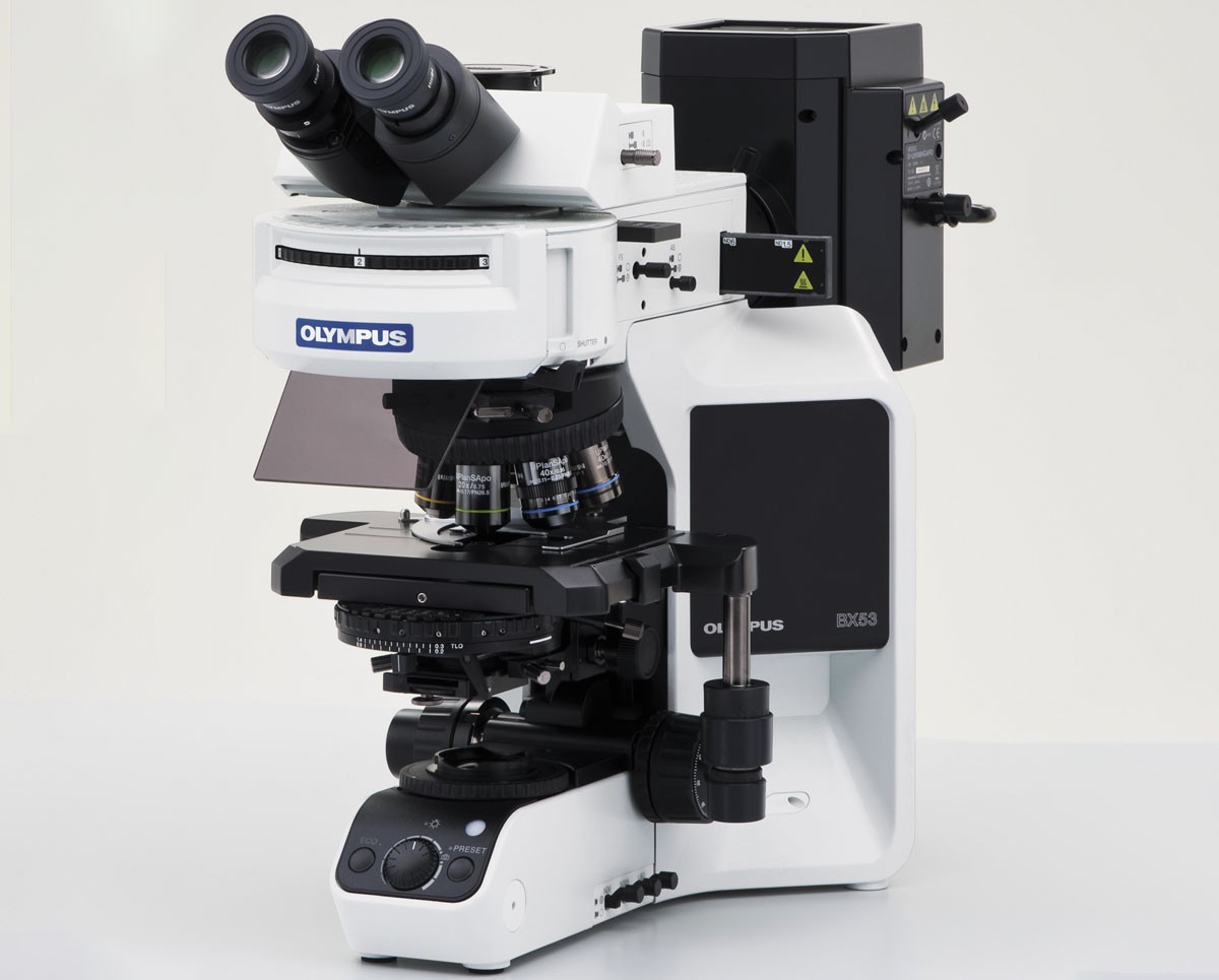 Transport Orator Retaliation Olympus BX53 Microscope | Olympus Advanced Microscope | DSS Imagetech