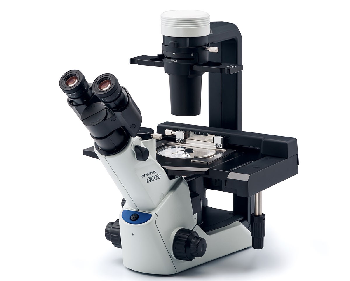 Микроскопы Olympus, это надежность и превосходное качество