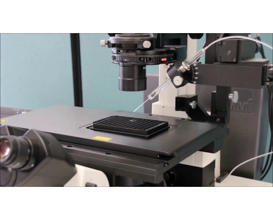 Molecular Machines & Industries CellEctor – Capillary Cell Sorting in India