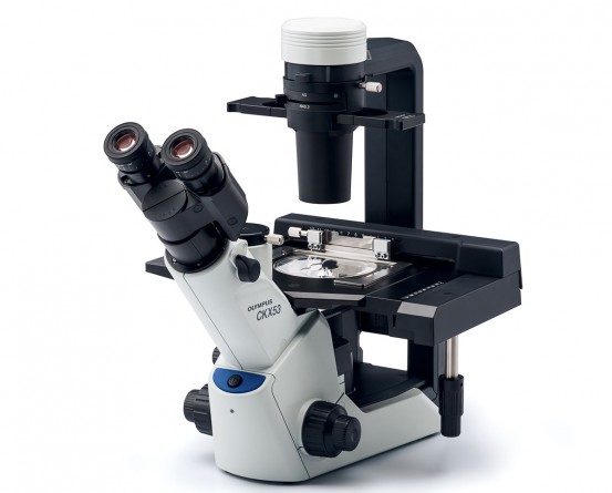 EVIDENT Olympus CKX53 Microscope in India