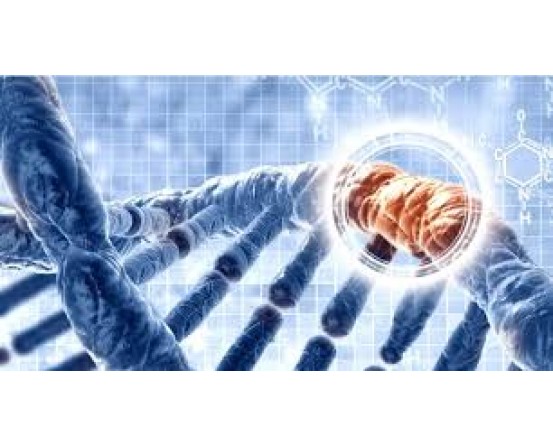 ENTROGEN Entrogen DNA Image in India