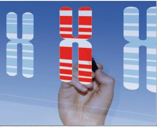 EUROCLONE Other Cytogenetic Culture Media Products in India