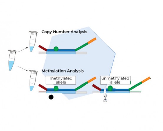 MRC HOLLAND Methylation-Specific MLPA Assays in India