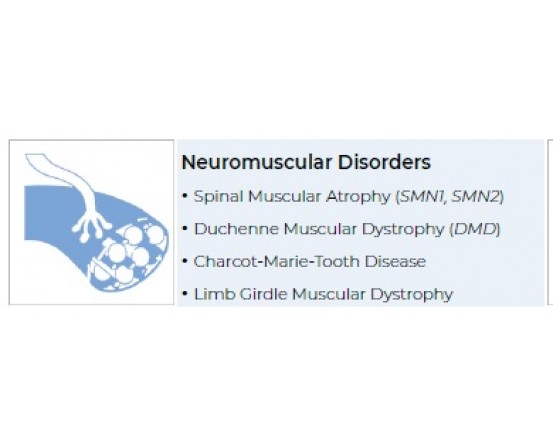 MRC HOLLAND MLPA Assays for Neuromuscular Disorders in India