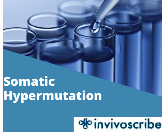 Invivoscribe Somatic Hypermutation (Gel Detection) in India