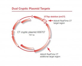 Abbott RealTime CT/NG Assay