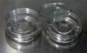 Centre Well Dish - Sterile (57mm X 16 mm) in India