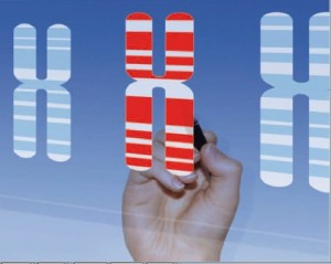 EUROCLONE Other Cytogenetic Culture Media Products in India