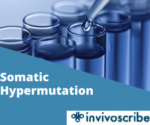 Invivoscribe Somatic Hypermutation (ABI Fluorescence Detection) in India