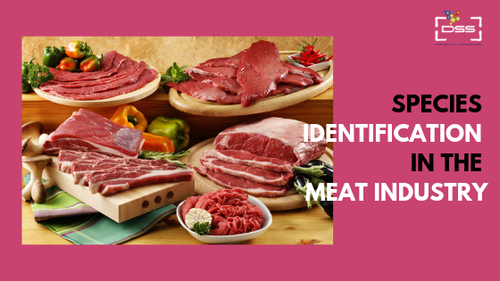 Species identification need in Meat Industry