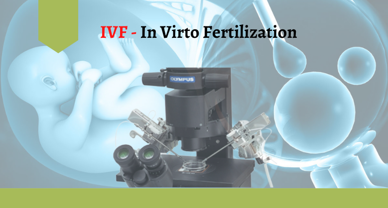 In Vitro Fertilization