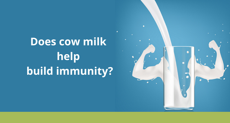 Does cow milk help build immunity?