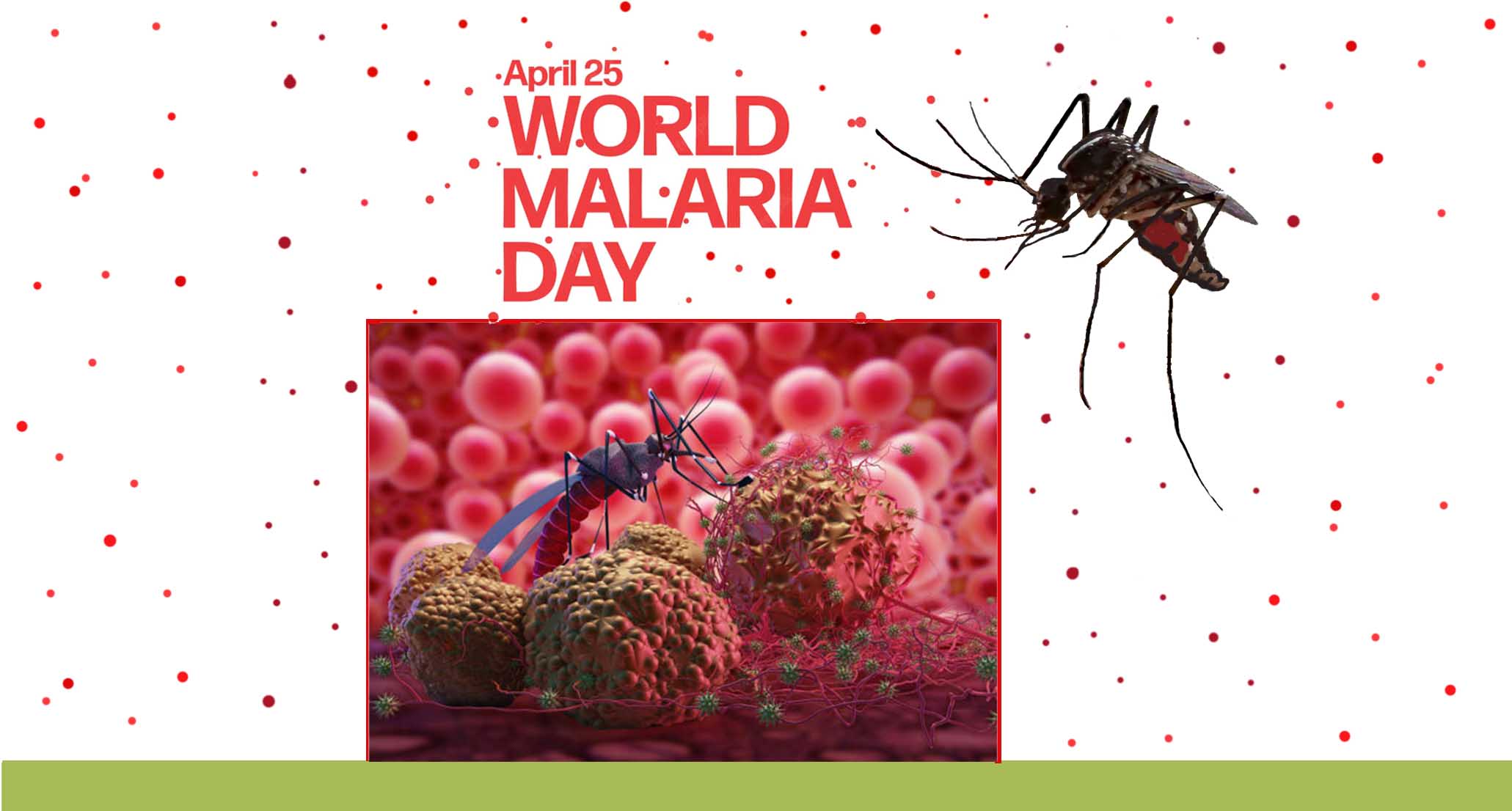 MALARIA – AN EPIDEMIC OR PANDEMIC