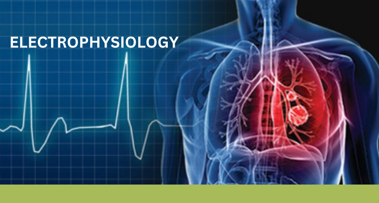 ELECTROPHYSIOLOGY