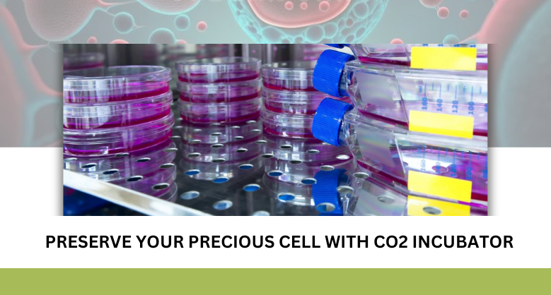 PRESERVE YOUR PRECIOUS CELL With CO2 INCUBATOR