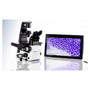 CellScan