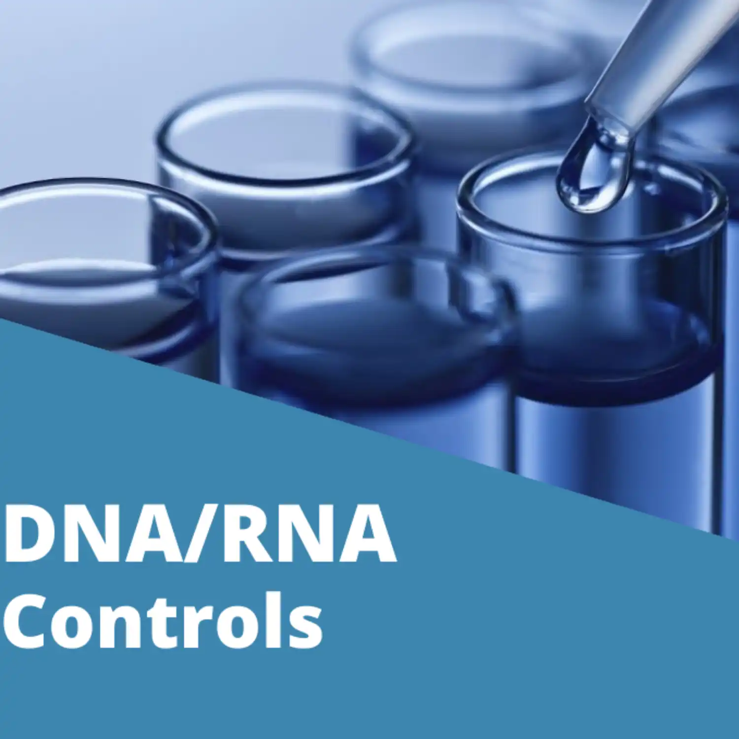 DNA/RNA Controls