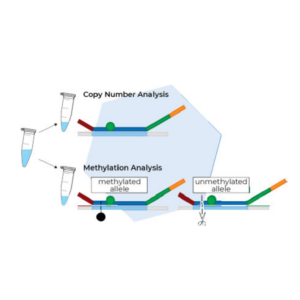 Methylation-Specific MLPA Assays