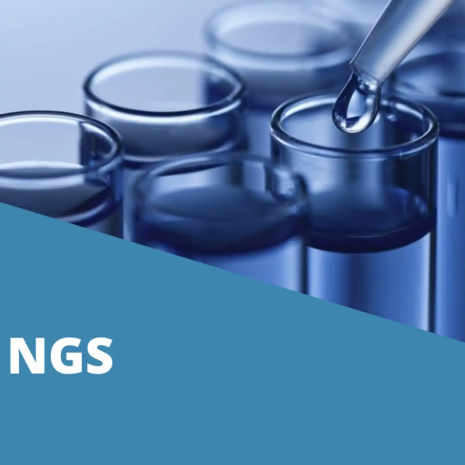 NGS Assays