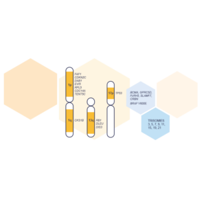 SALSA® digitalMLPA Probemix D006 Multiple Myeloma