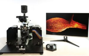 Alpha3 Light Sheet Microscope