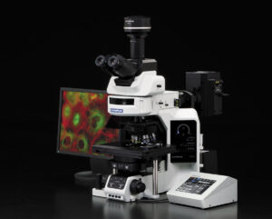 Olympus BX63 Microscope