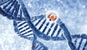 Entrogen Real Time PCR Kit for Breast/Ovarian Cancer (RUO)