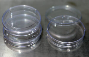 ICSI Dish – Tight Lid – Sterile (50mm X 10 mm) (Individually Packed Sterile)