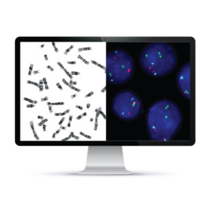 CytoPower