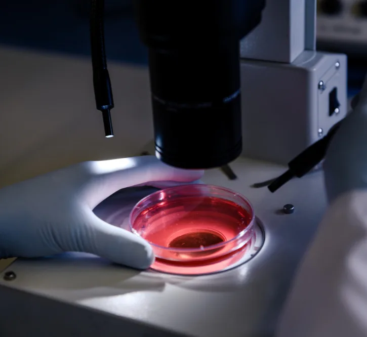 Microscopy & Imaging