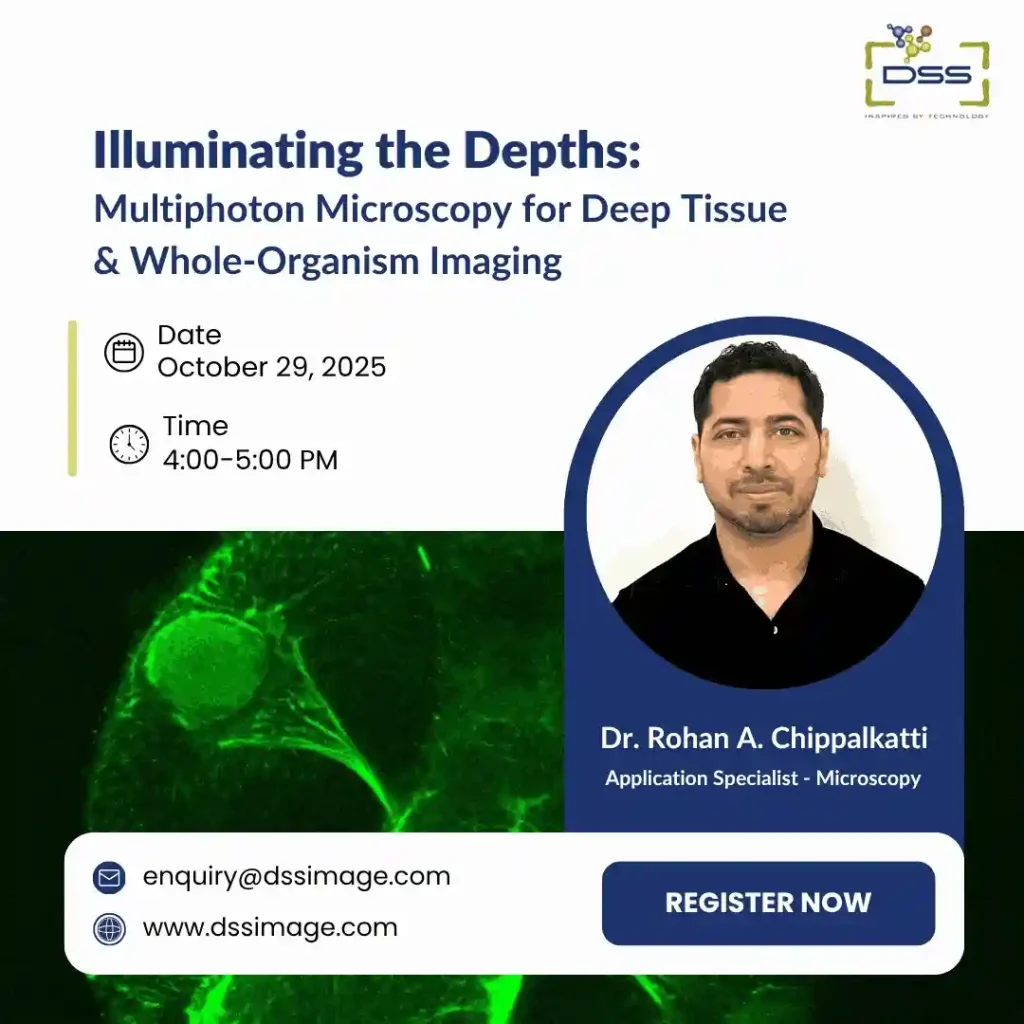 Illuminating the Depths: Multiphoton Microscopy for Deep Tissue and Whole-Organism Imaging