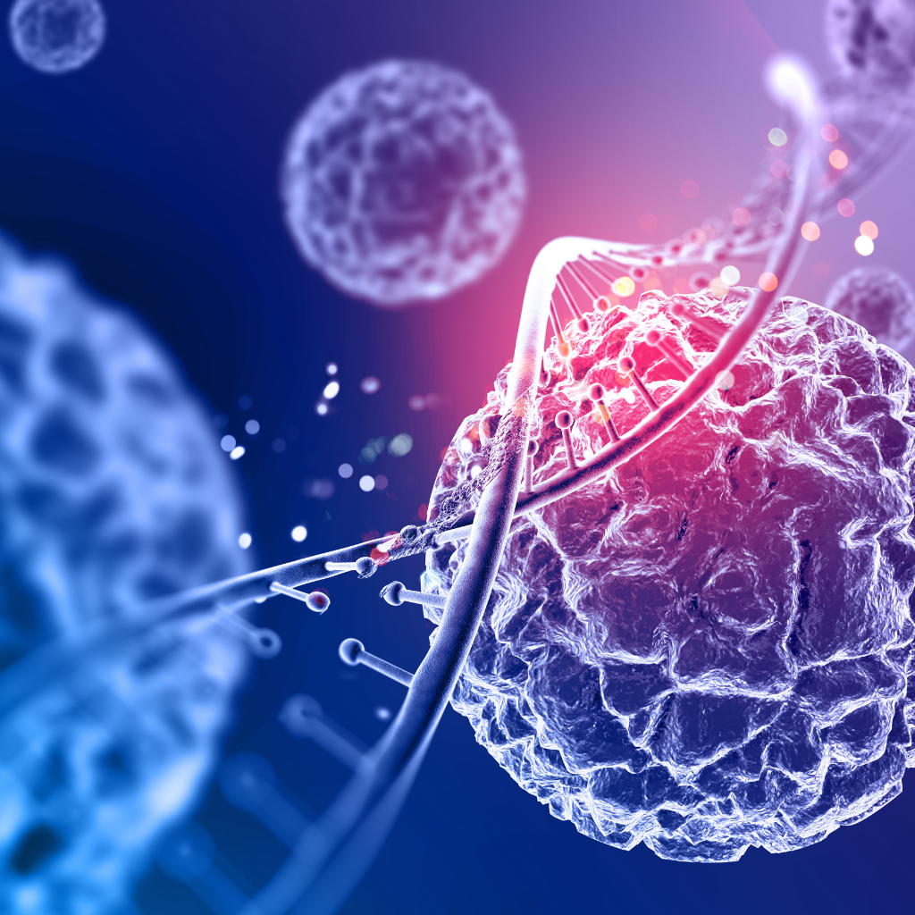 Cytogenetics Systems