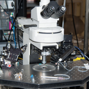 Electrophysiology Accessories