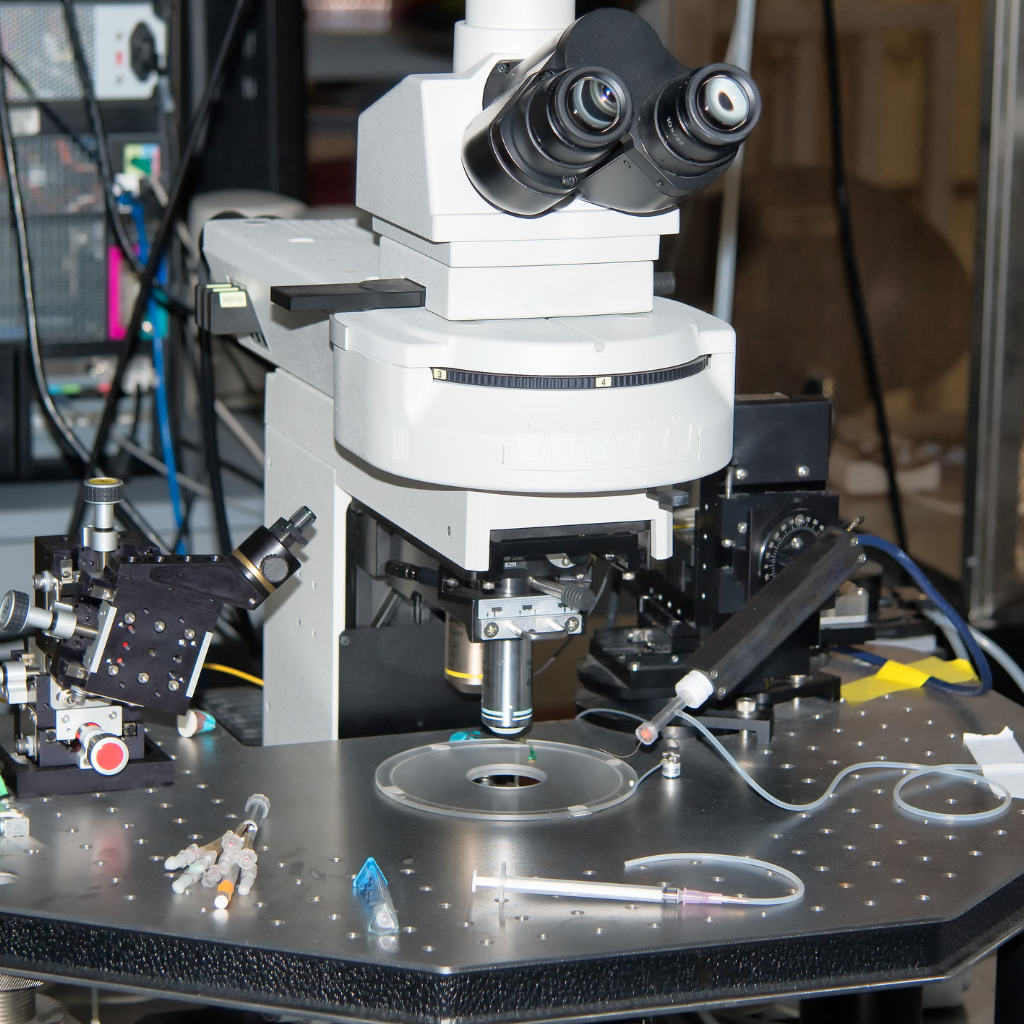 Electrophysiology Accessories