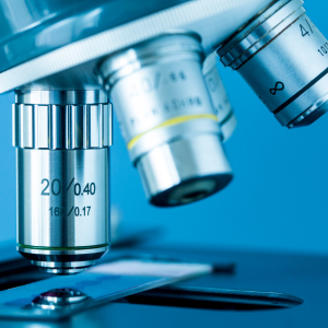 Microscope Accessories