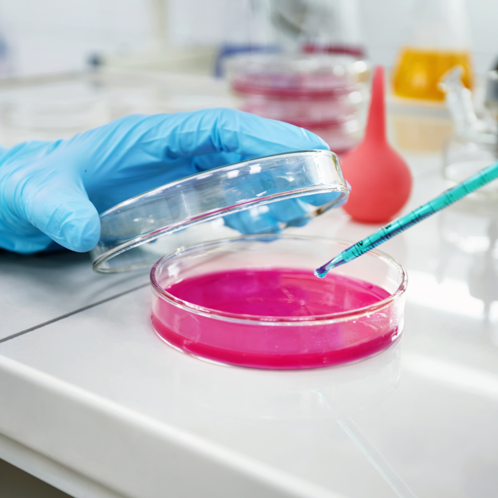 Cell Culture monitoring