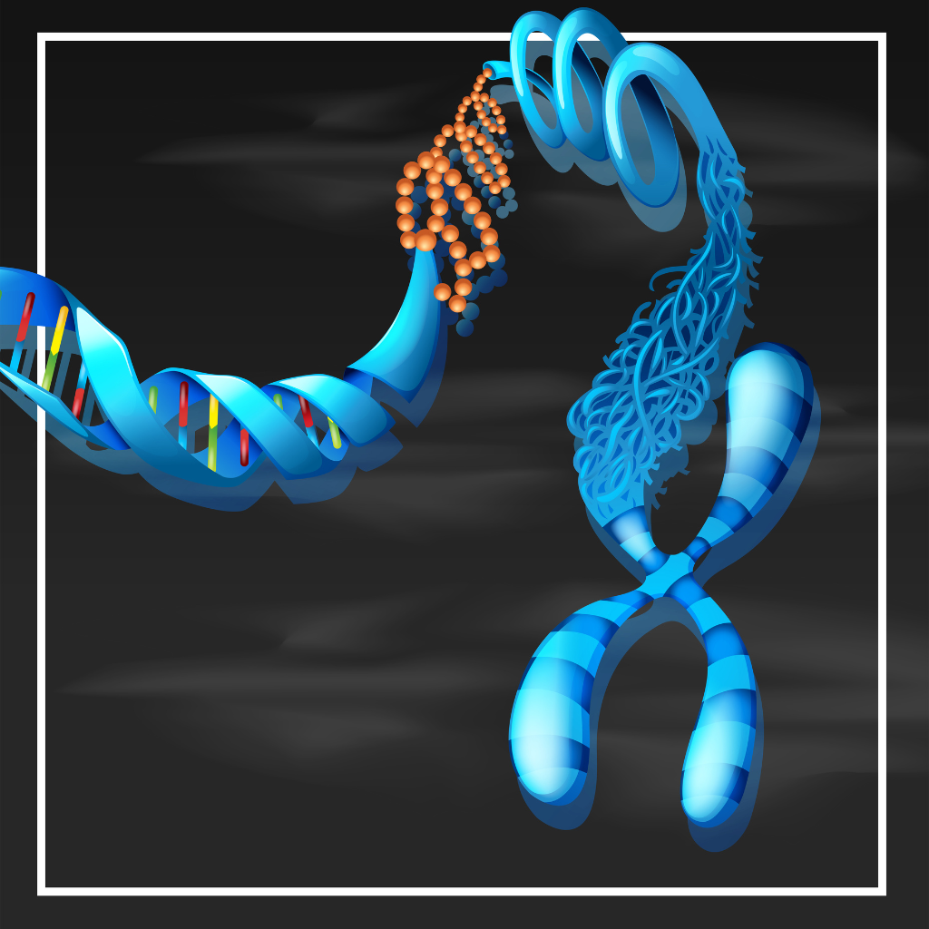 Fluorescence In Situ Hybridization (FISH)