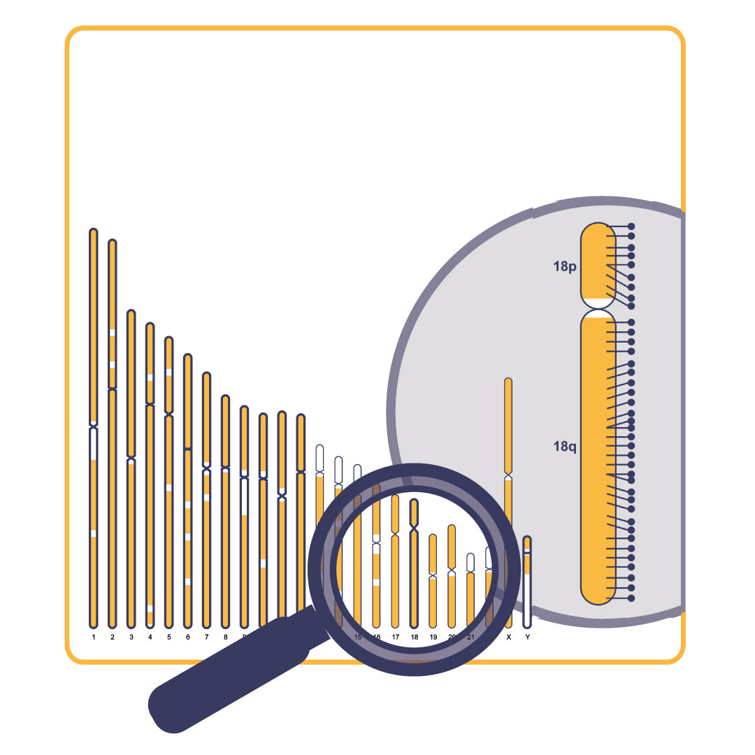 NXtec D024 KaryoProfiler