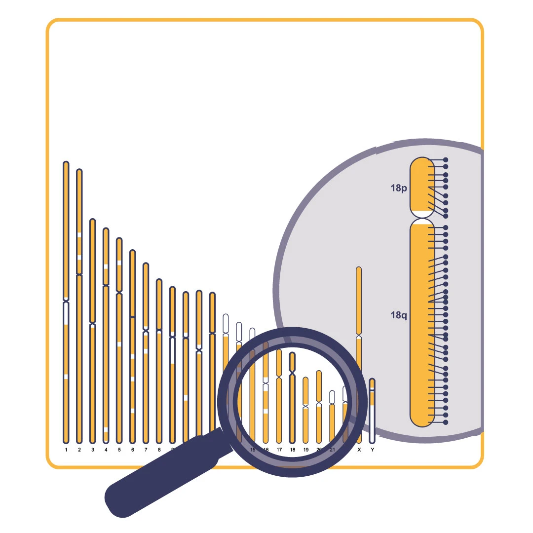 NXtec D024 KaryoProfiler