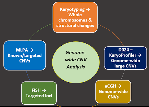 Beyond the Microscope