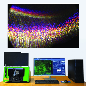 SLICE – Light Sheet Microscope