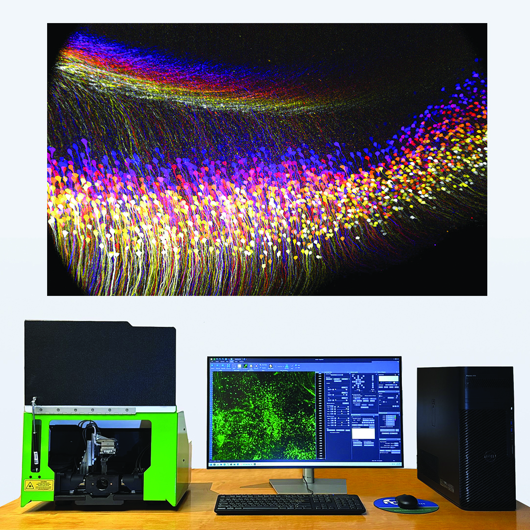 SLICE – Light Sheet Microscope