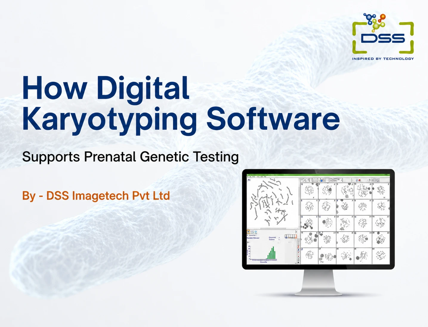How Digital Karyotyping Software Supports Prenatal Genetic Testing
