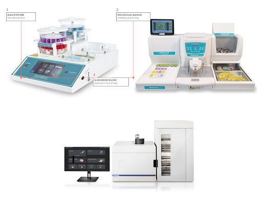 Vitro Antibodies: Specialised IHC Reagents