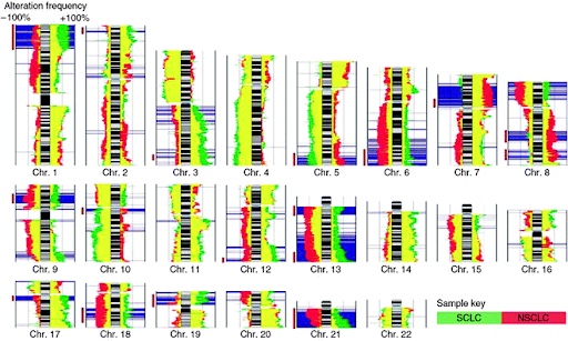 Array-CGH-frequency
