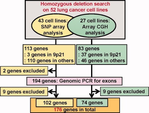 Array-CGH