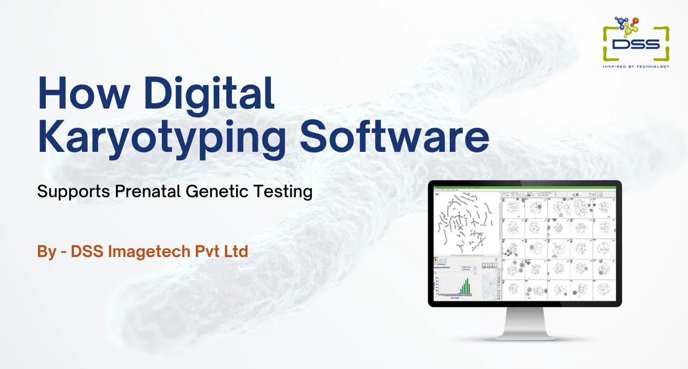 How Digital Karyotyping Software Supports Prenatal Genetic Testing