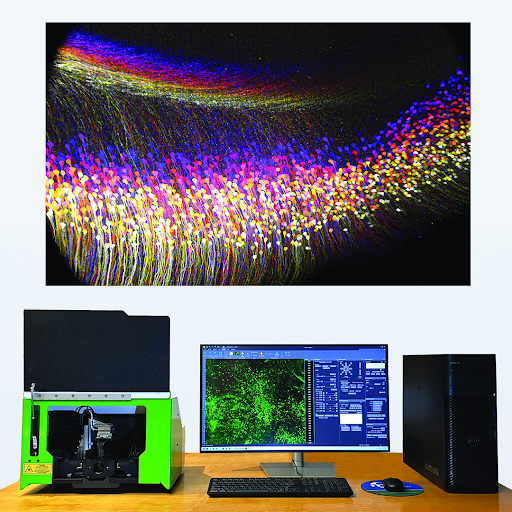 SLICE-Light-sheet-microscope