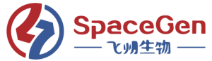 SpaceGen